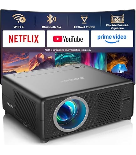Amazon.com: Vivitek Q38-BK Ultra-Portable Full HD Smart Projector
